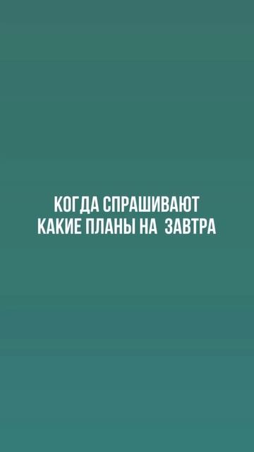3 октября 2024 г.