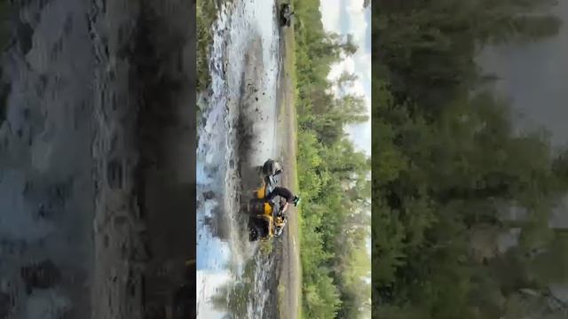 линхай 650 и гепард 850 резвились в луже😁