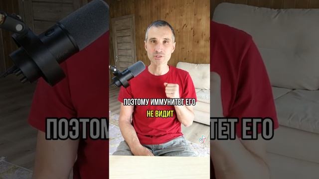 VID-20250613-WA0468