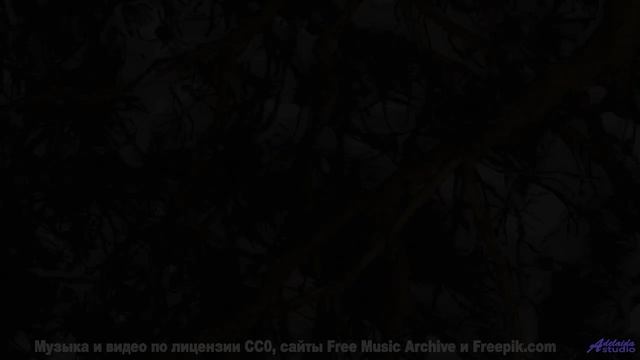 Музыка рождает желание исчезнуть среди природы - Here Comes the Ice -- Matt Oakley -- Midnight Stori