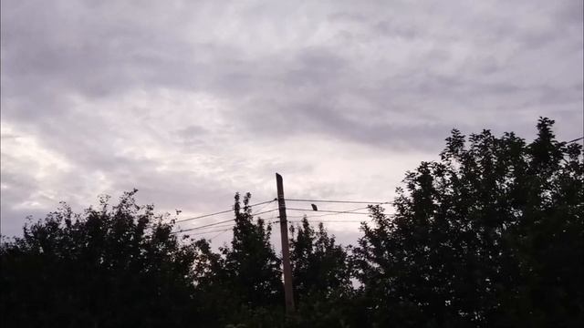 Coвы