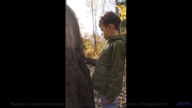 Эта мелодия написана вашим будущим я - парадокс времени! - Big Green -- Wax Lyricist -- The Wax Lyri