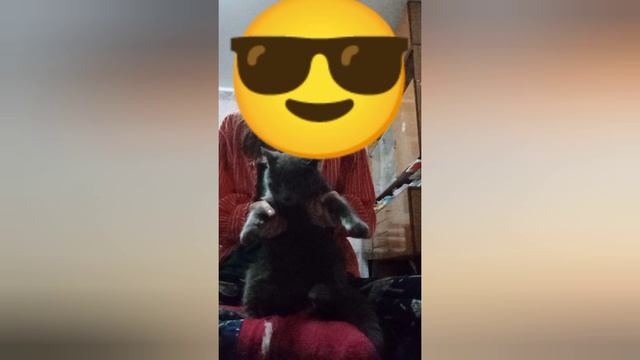 танцует Лёлик