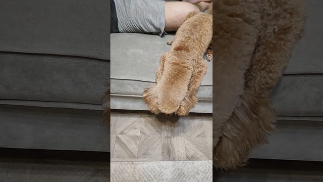 VID_20250313_210524