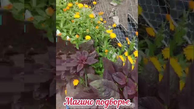 знакомство