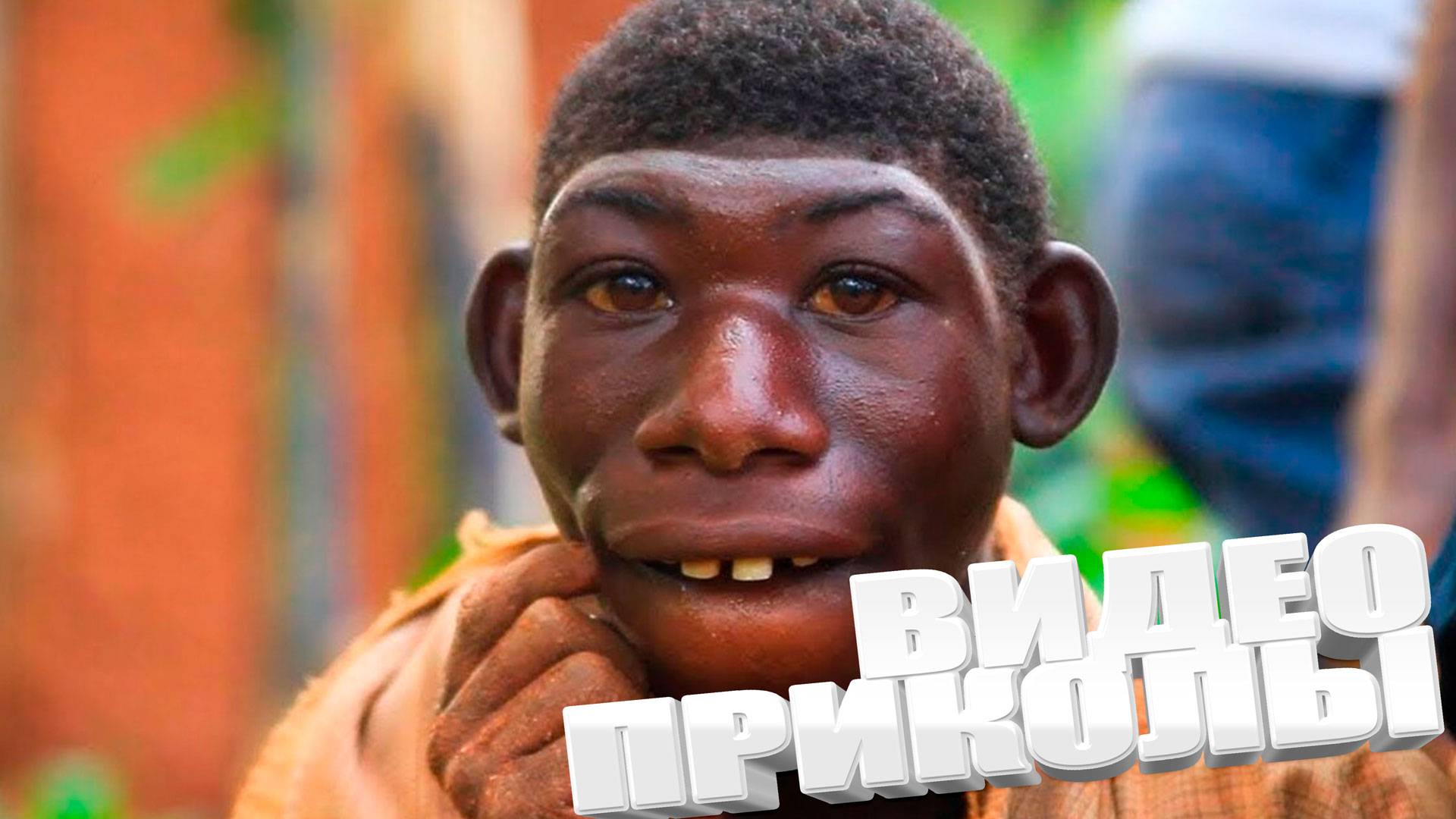 САМАЯ КАЧЕСТВЕННАЯ ПОДБОРКА ВИДЕОПРИКОЛОВ \ СМОТРЕТЬ ВСЕМ \ ПРИКОЛЫ 2025