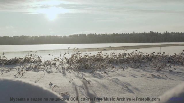 Мелодия для тех, кто целуется на пароме под крики чаек - Lucid Dreaming -- HoliznaCC0 -- Left Overs