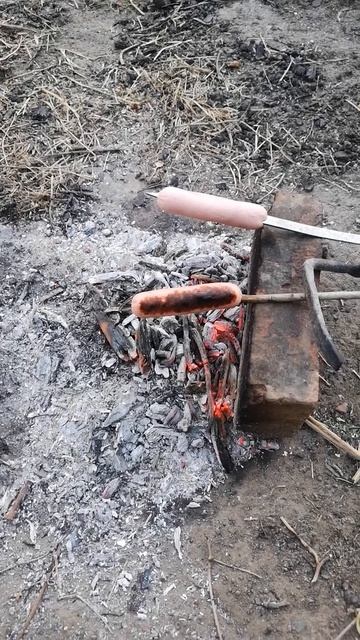 Сравнение двух сосисок.