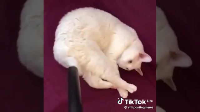 1000002883.mp4