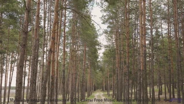 Музыка, от которой хочется давить на газ до упора! - Corporate Business -- Scott Holmes Music -- Cor