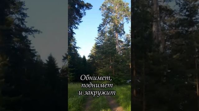 Священный Лес