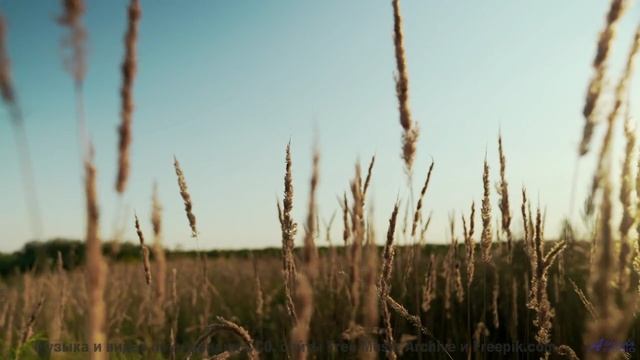 Путешествие - это не место на карте, а момент, когда звучит эта песня - Countryscape -- Ketsa -- Uni