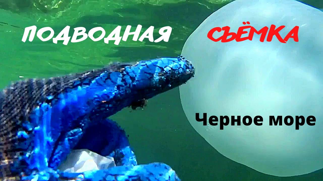 Чистейшее Черное море. Крым. Форос. Под водой