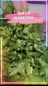 ЩИ ИЗ ЩАВЕЛЯ. ПРОСТО И ВКУСНО.