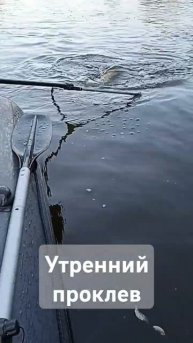 утренний проклев щуки #щука #рыбалка #fishing #fishing #fishingshorts #троллингщука