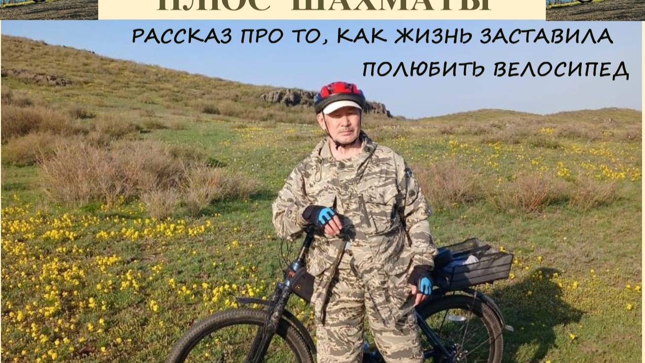 Выпуск 19. Рассказ про то, как жизнь заставилм полюбить велосипед