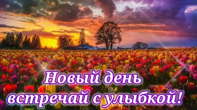 С новым днем/доброе утро