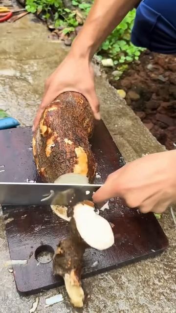 Cutting cassava #shorts