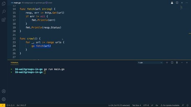 17 - WaitGroups in Go