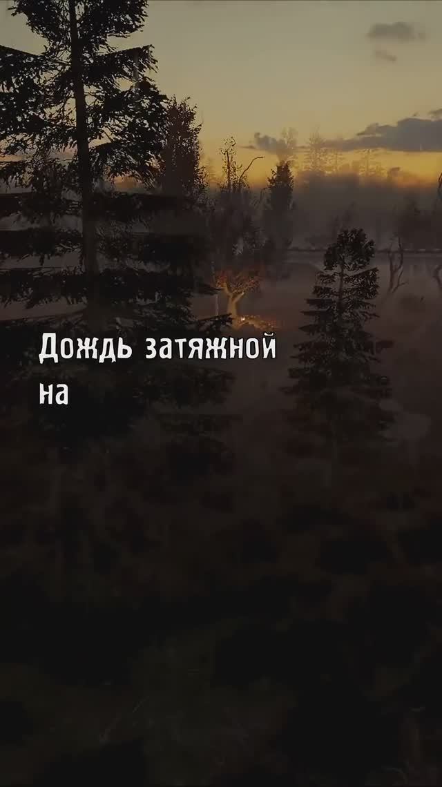 Тихий Омут - STALKER
