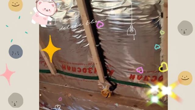 1000026634.mp4 (Собака смотрит на монтаж э/кабеля под имитацией бруса в доме А-фрейм)