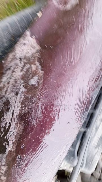 1000001091.mp4