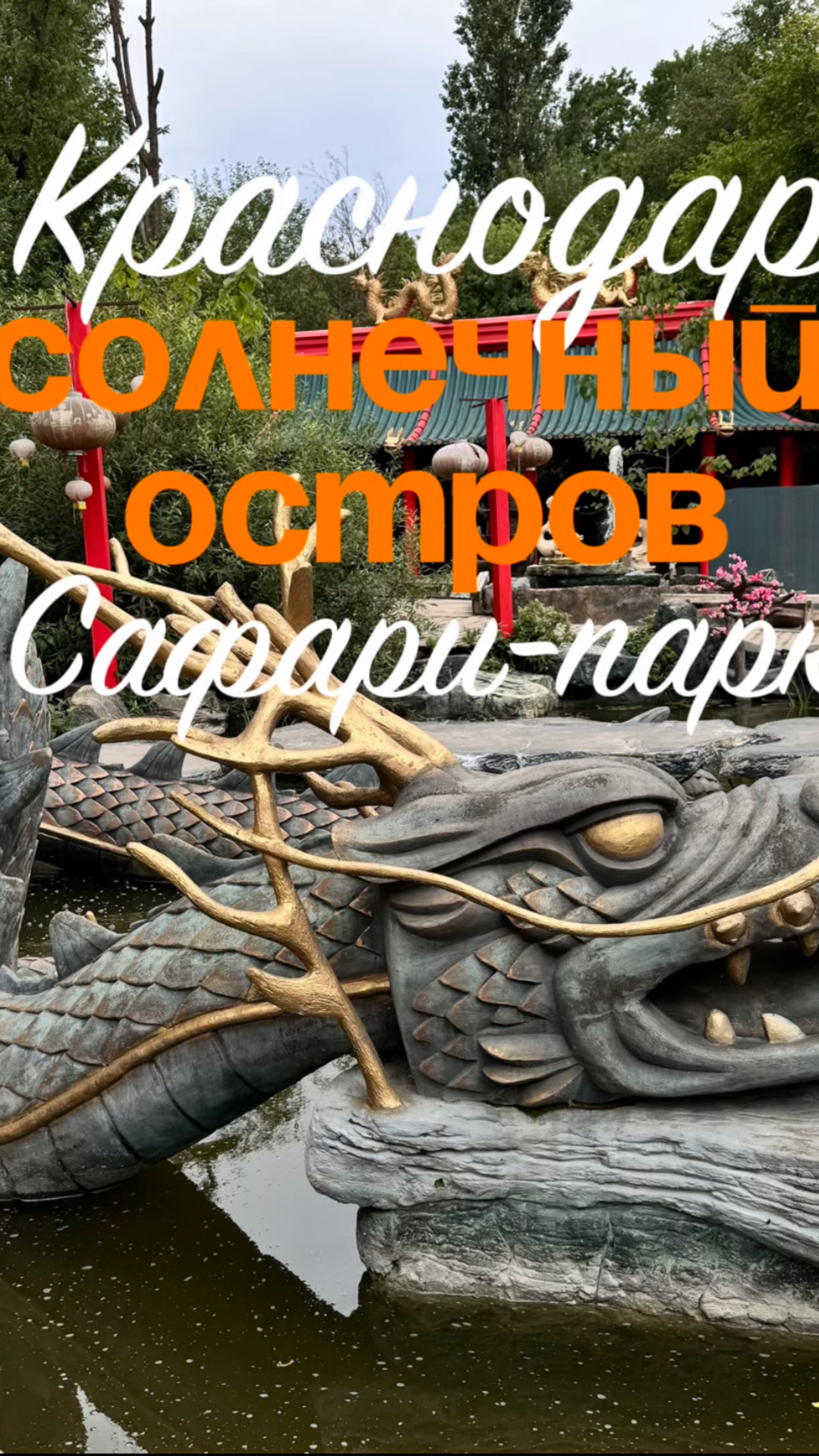 Сафари-парк Солнечный остров в Краснодаре😍