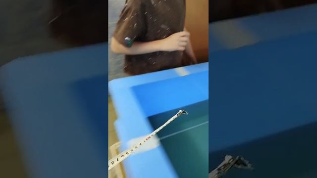 Аква робот Чемпион Робофинист25