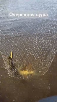 Рыбалка на щуку #рыбалка #троллинг #fishing #щука #рыбалканадесне