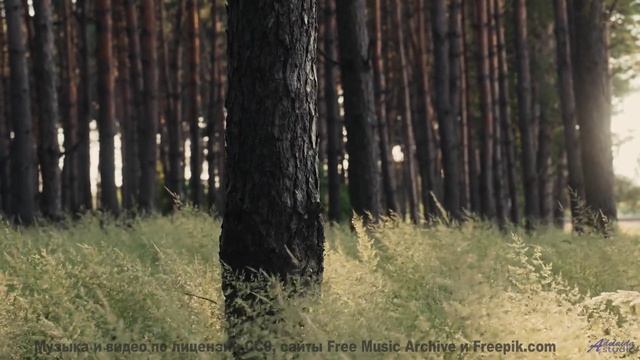 Не включай, если не готов влюбиться в Землю - My Soul -- Mack Aroni -- Lowfi Spirit