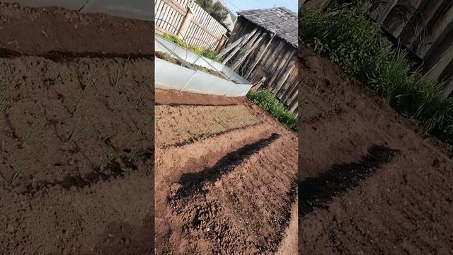 VID_20250613_184003.mp4