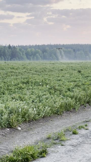 Обработка агродронами XAG P100 в Свердловской области.