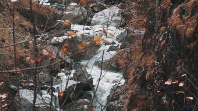 Этот клип вызовет у вас эмоциональный взрыв - берегитесь! - A Pleasant Afternoon -- Kirk Osamayo --