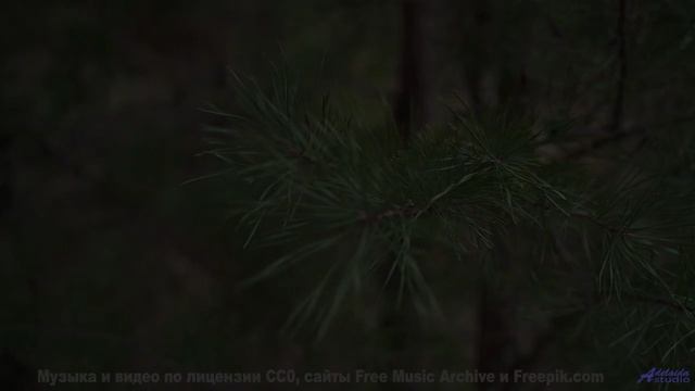 Душа вылетает из тела при таких пейзажах и звуке - Double Voice, Extra Voice -- Laetitia Sadier Sour