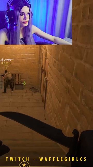 Она же Девочка) #cs2 #girl #cute #streamer #counterstrike2 #wafflegirlcs #csgo #gaming #twitch