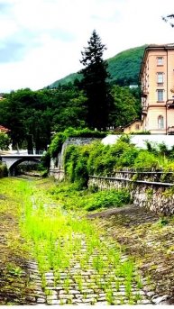 Всё произошло на камеру