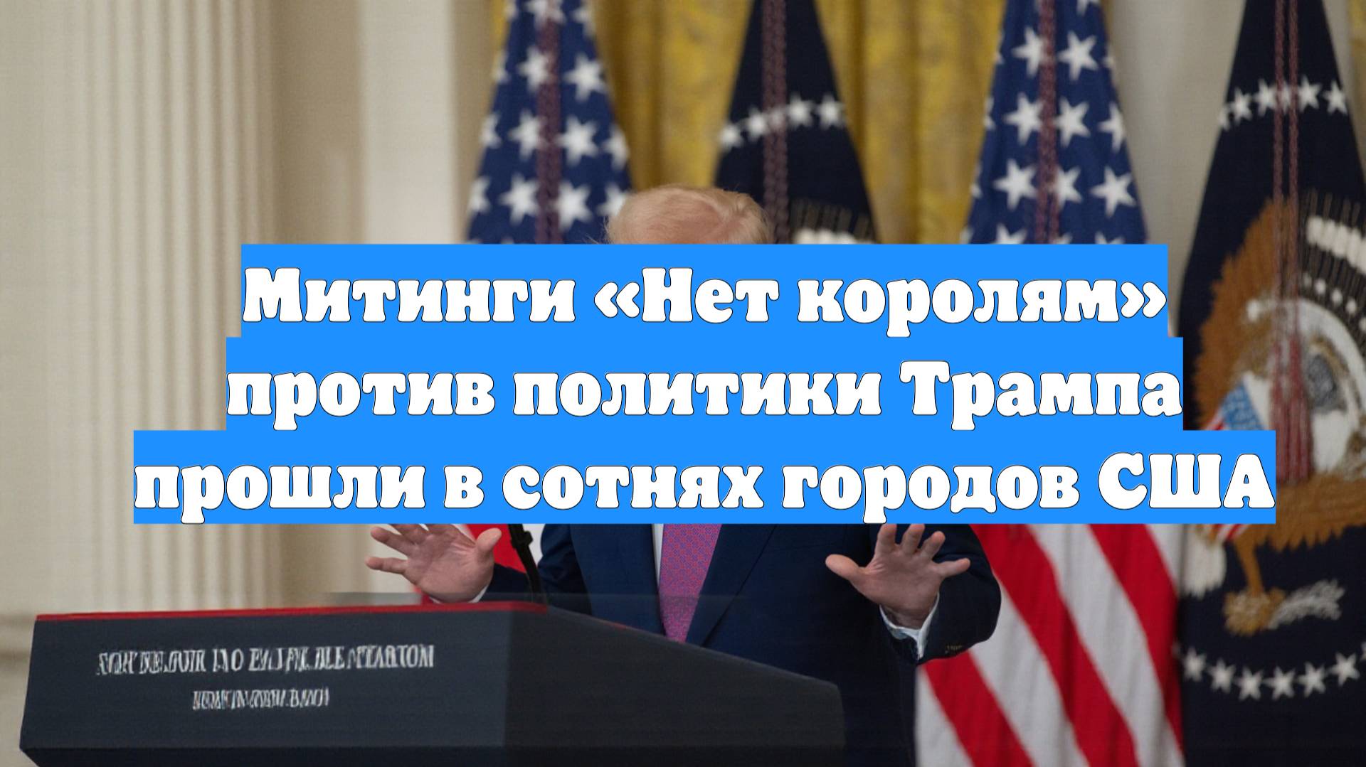 Митинги «Нет королям» против политики Трампа прошли в сотнях городов США