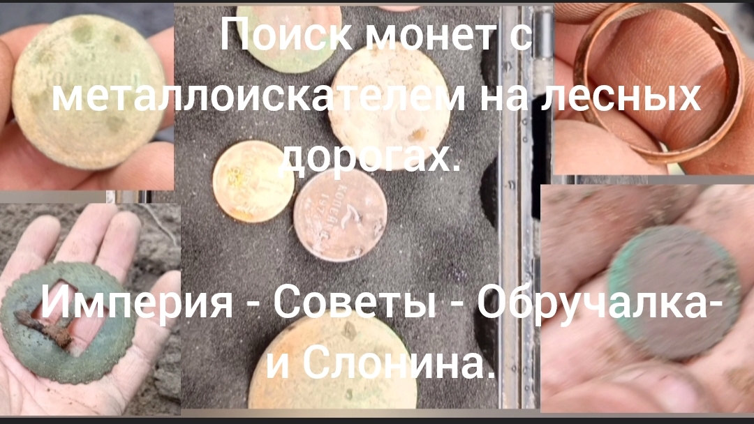 Поиск монет с металлоискателем на лесных дорогах. ( Империя-Советы-Обручалка - Слонина 😁)