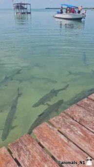 Подпишись 👉 https://vk.com/ykrasheniy_iz_kamny