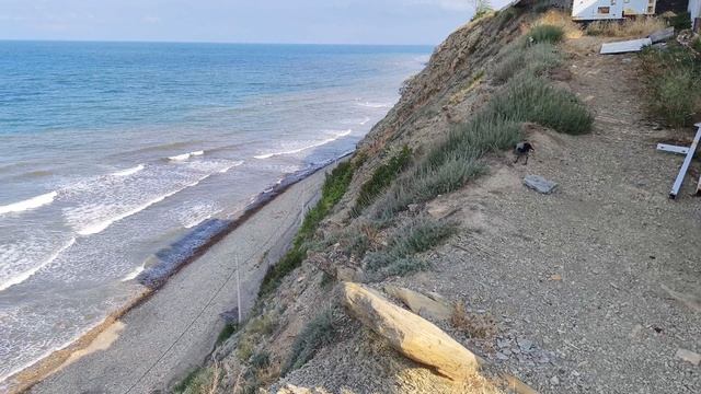 Воскресенье 15.06.2025 Анапа