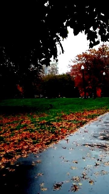 Камера сняла нечто странное