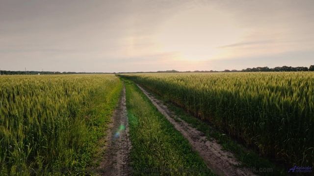 Видео, которое можно смотреть только в состоянии невесомости - испытайте! - Hope And Belief 2 -- Kir