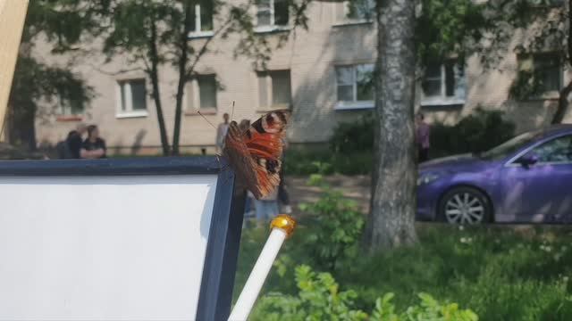 Необычный посетитель выставки.