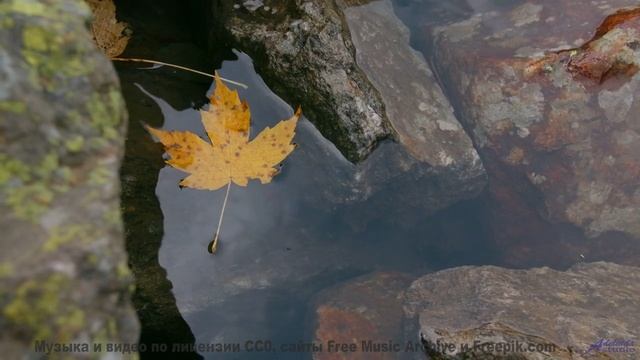 Что скрывается за этими кадрами Ответ вас удивит! - Classical Landscapes -- Ketsa -- Metaphysics