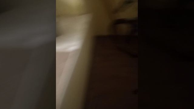 вот так выглядит но у нас в Петра дубраве