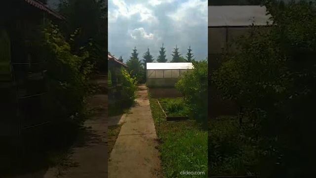 vid-20250614-wa0004_Djrg6gQ6 (1)
