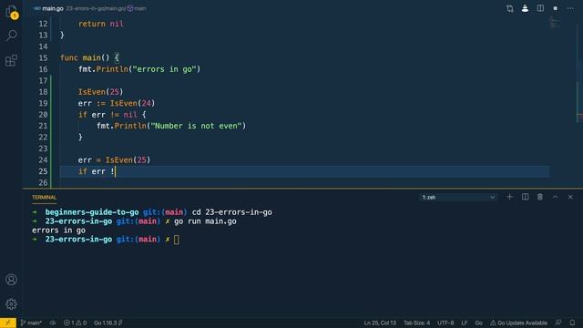 23 - Errors in Go