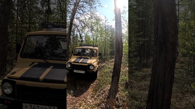 тундра, щуки и медведи