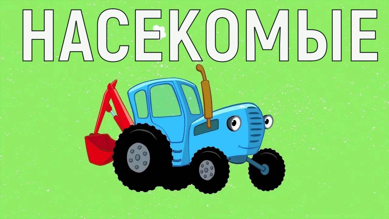 насекомые синий трактор