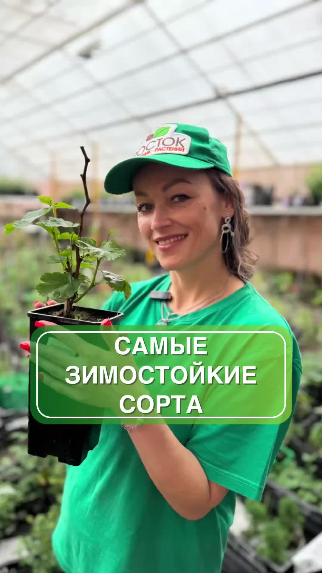 Саженцы для Сибири и Урала: проверенные сорта, которые выдержат суровые зимы! ❄️